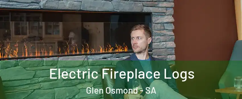 Electric Fireplace Logs Glen Osmond - SA