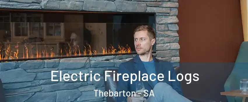 Electric Fireplace Logs Thebarton - SA