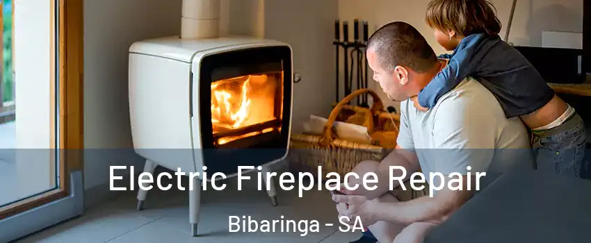  Electric Fireplace Repair Bibaringa - SA