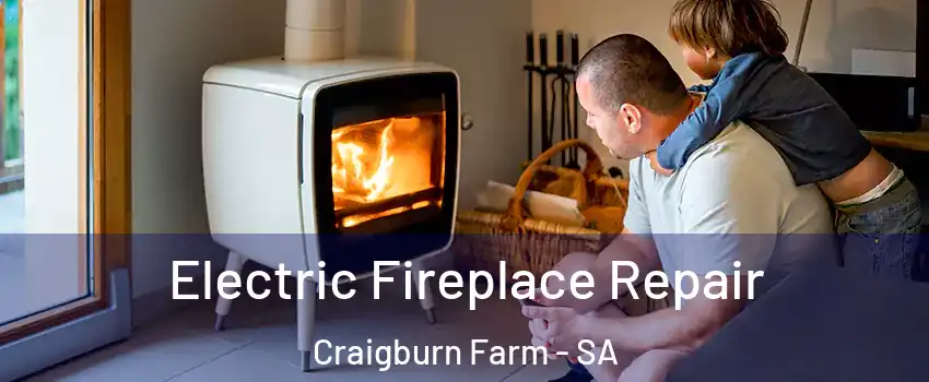 Electric Fireplace Repair Craigburn Farm - SA