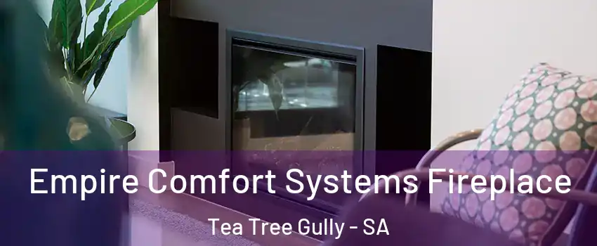 Empire Comfort Systems Fireplace Tea Tree Gully - SA