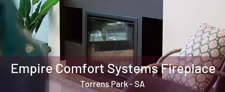 Empire Comfort Systems Fireplace Torrens Park - SA