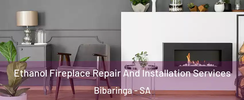 Ethanol Fireplace Repair And Installation Services Bibaringa - SA