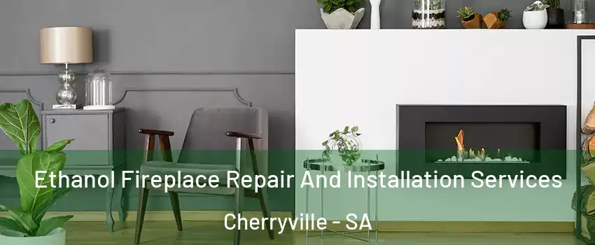 Ethanol Fireplace Repair And Installation Services Cherryville - SA
