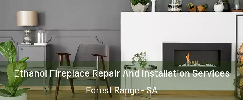  Ethanol Fireplace Repair And Installation Services Forest Range - SA