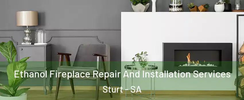 Ethanol Fireplace Repair And Installation Services Sturt - SA