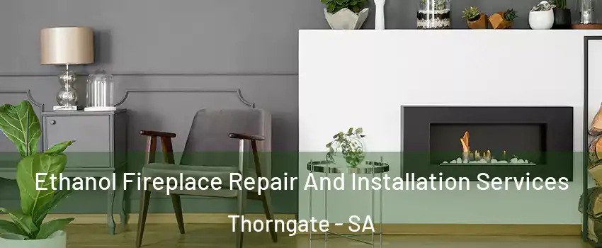 Ethanol Fireplace Repair And Installation Services Thorngate - SA