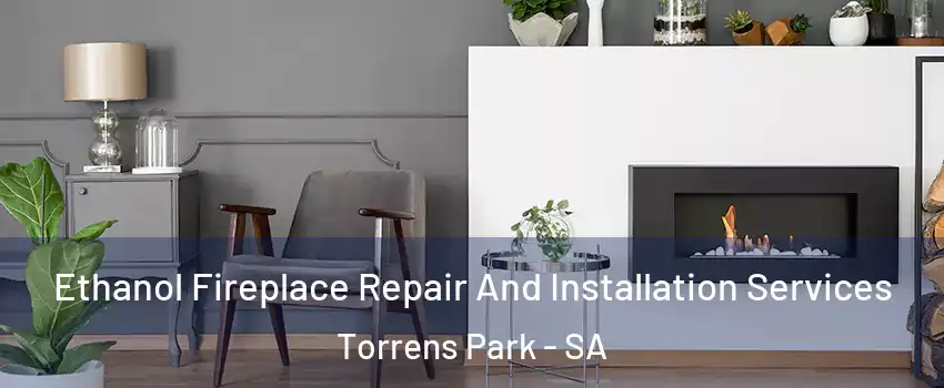 Ethanol Fireplace Repair And Installation Services Torrens Park - SA