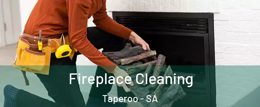 Fireplace Cleaning Taperoo - SA