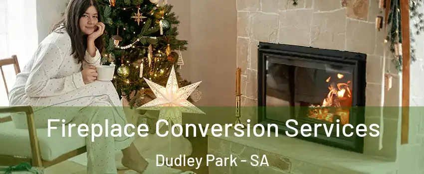  Fireplace Conversion Services Dudley Park - SA