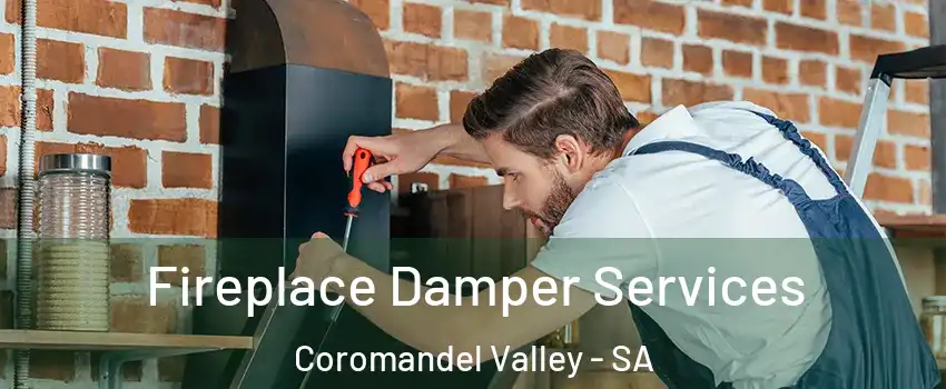 Fireplace Damper Services Coromandel Valley - SA