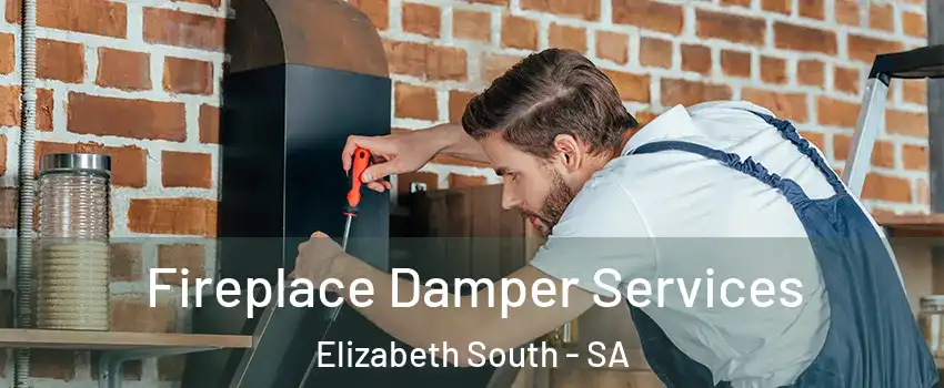  Fireplace Damper Services Elizabeth South - SA