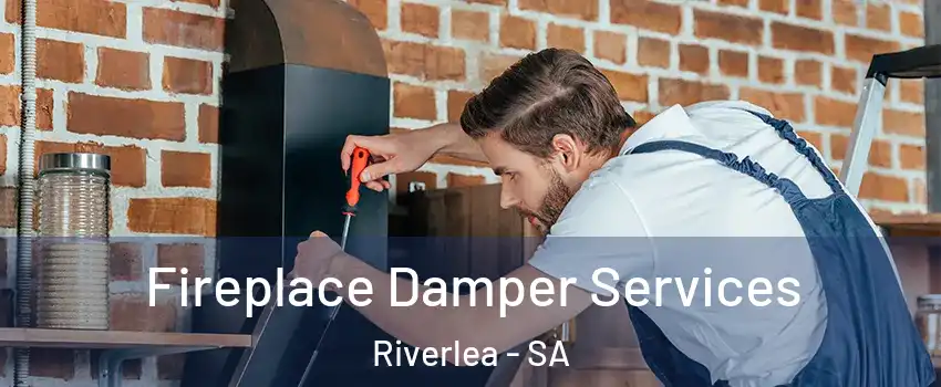 Fireplace Damper Services Riverlea - SA