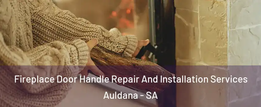  Fireplace Door Handle Repair And Installation Services Auldana - SA