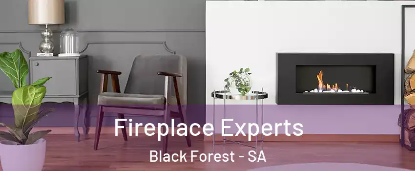 Fireplace Experts Black Forest - SA
