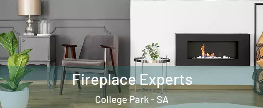 Fireplace Experts College Park - SA