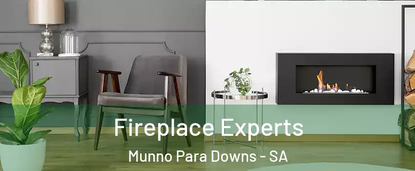 Fireplace Experts Munno Para Downs - SA