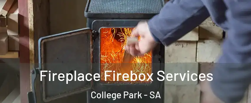  Fireplace Firebox Services College Park - SA