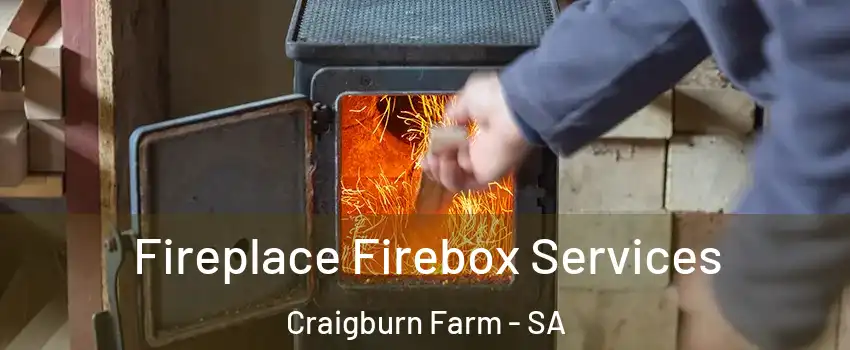  Fireplace Firebox Services Craigburn Farm - SA