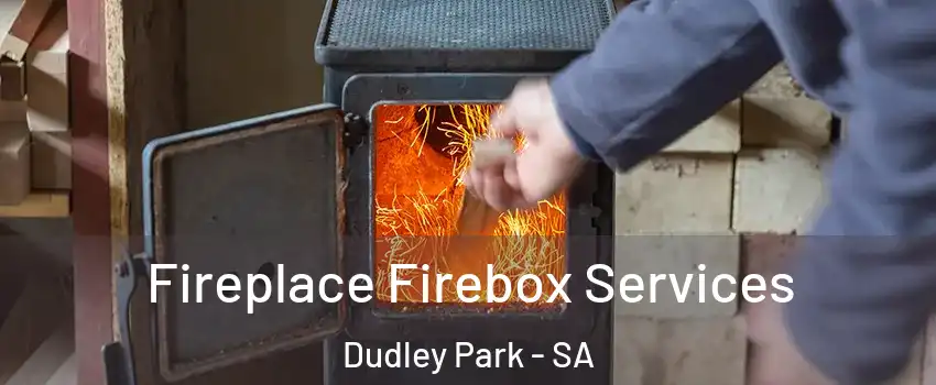 Fireplace Firebox Services Dudley Park - SA