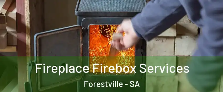  Fireplace Firebox Services Forestville - SA