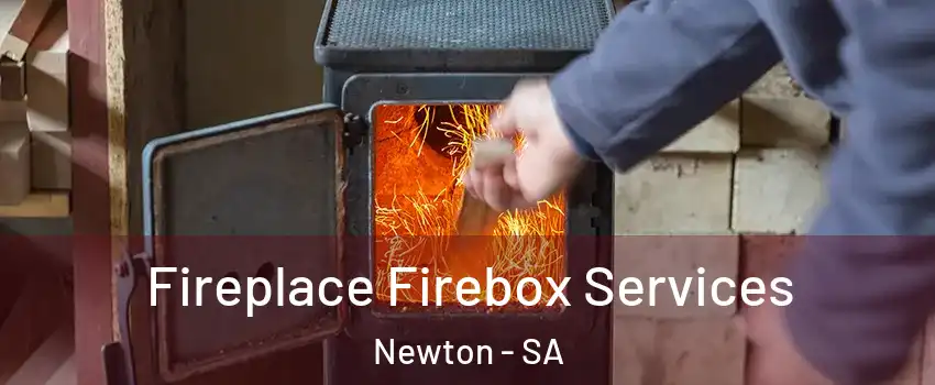  Fireplace Firebox Services Newton - SA