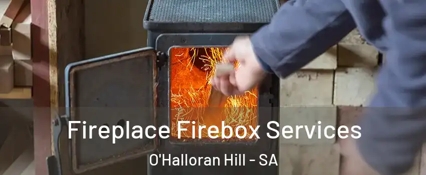 Fireplace Firebox Services O'Halloran Hill - SA