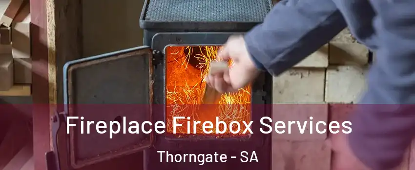  Fireplace Firebox Services Thorngate - SA