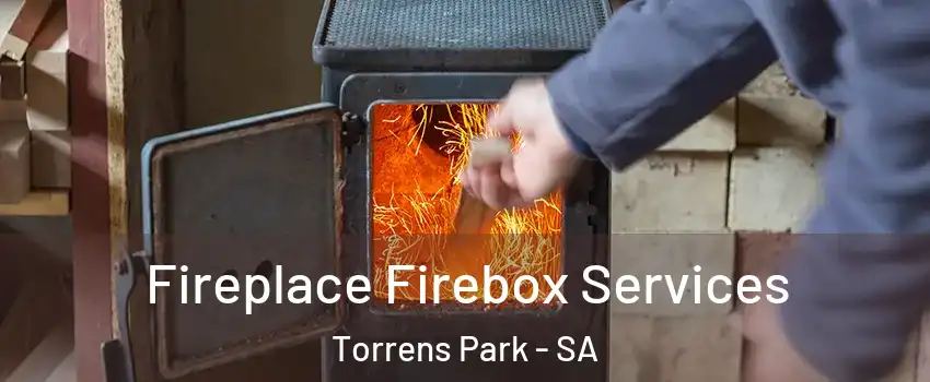 Fireplace Firebox Services Torrens Park - SA