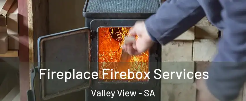  Fireplace Firebox Services Valley View - SA