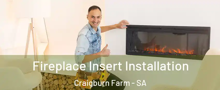  Fireplace Insert Installation Craigburn Farm - SA