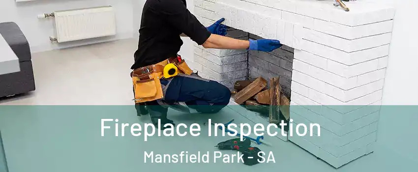 Fireplace Inspection Mansfield Park - SA