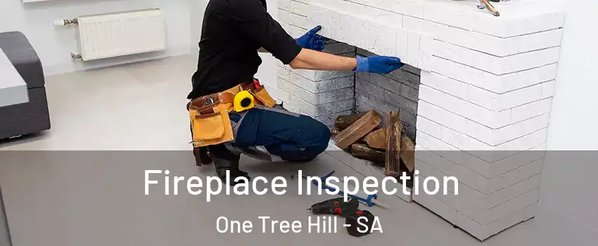 Fireplace Inspection One Tree Hill - SA