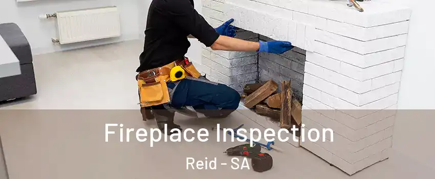 Fireplace Inspection Reid - SA