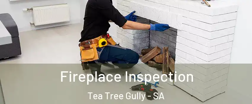 Fireplace Inspection Tea Tree Gully - SA