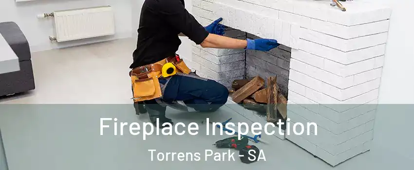 Fireplace Inspection Torrens Park - SA