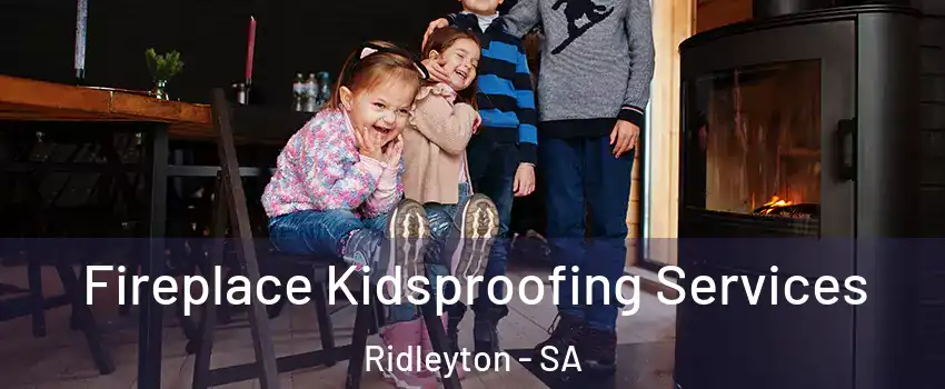 Fireplace Kidsproofing Services Ridleyton - SA