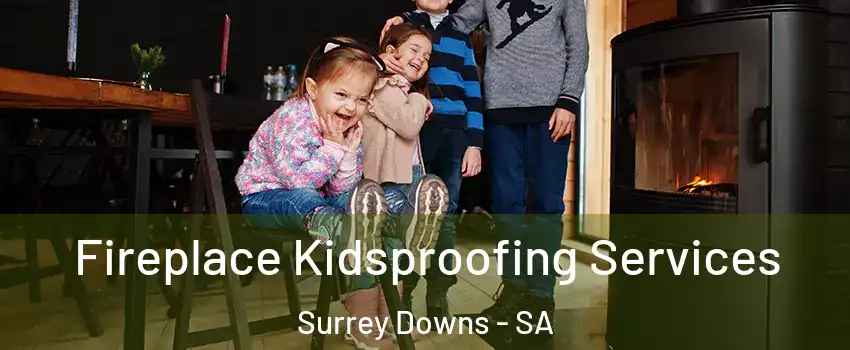 Fireplace Kidsproofing Services Surrey Downs - SA