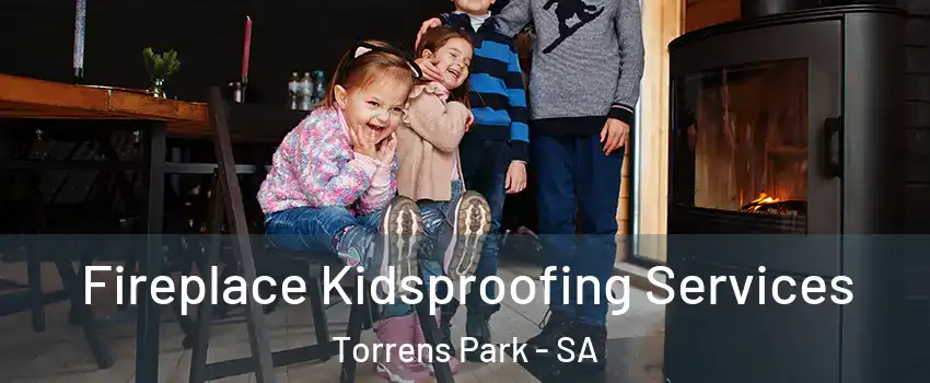 Fireplace Kidsproofing Services Torrens Park - SA