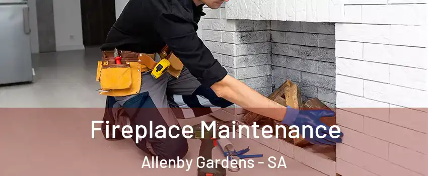 Fireplace Maintenance Allenby Gardens - SA