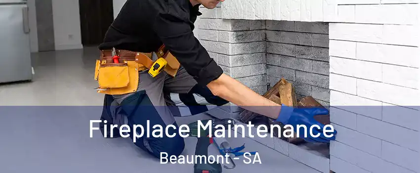Fireplace Maintenance Beaumont - SA
