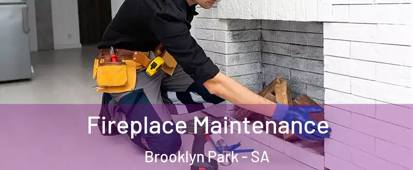  Fireplace Maintenance Brooklyn Park - SA