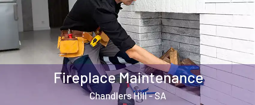  Fireplace Maintenance Chandlers Hill - SA