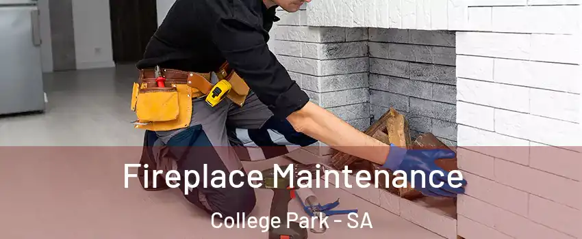 Fireplace Maintenance College Park - SA