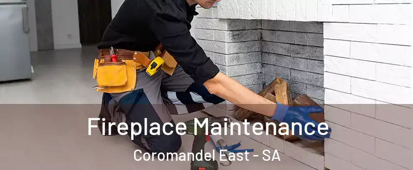 Fireplace Maintenance Coromandel East - SA