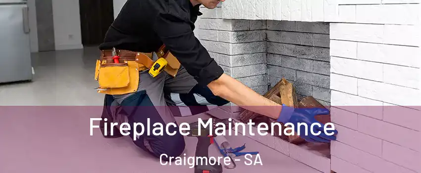 Fireplace Maintenance Craigmore - SA