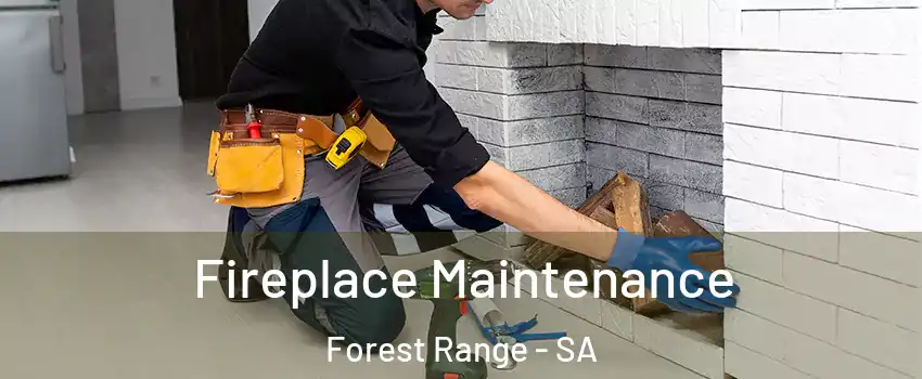 Fireplace Maintenance Forest Range - SA