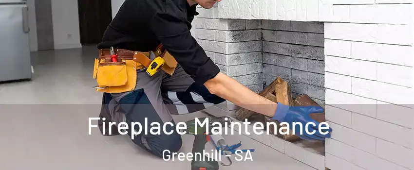  Fireplace Maintenance Greenhill - SA