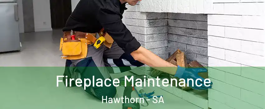  Fireplace Maintenance Hawthorn - SA