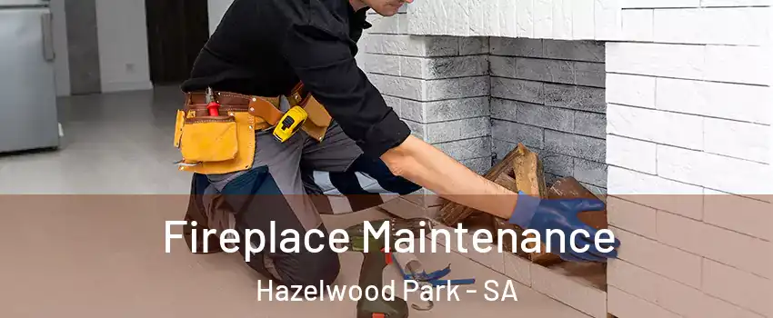 Fireplace Maintenance Hazelwood Park - SA